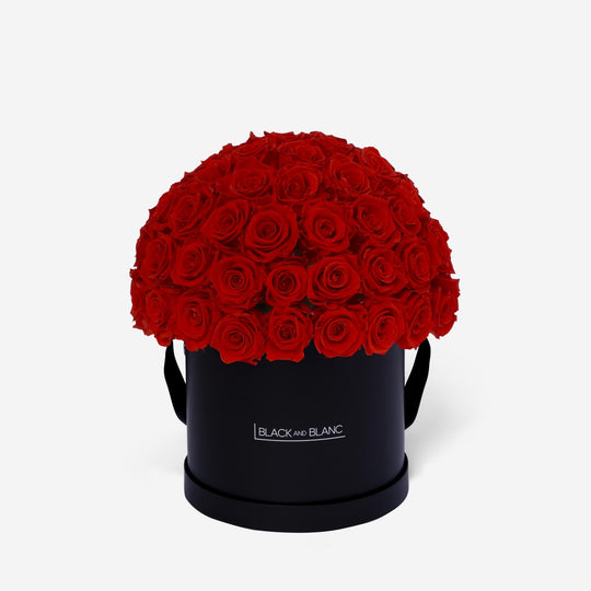 Dôme Classic - Infinity Roses - BLACK AND BLANC