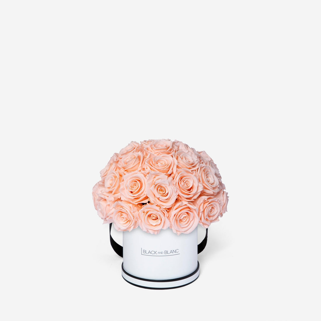 Dôme Classic - Infinity Roses - BLACK AND BLANC