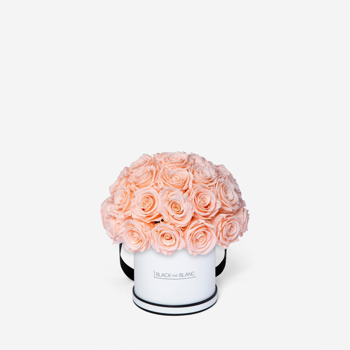 Dôme Classic - Infinity Roses - BLACK AND BLANC