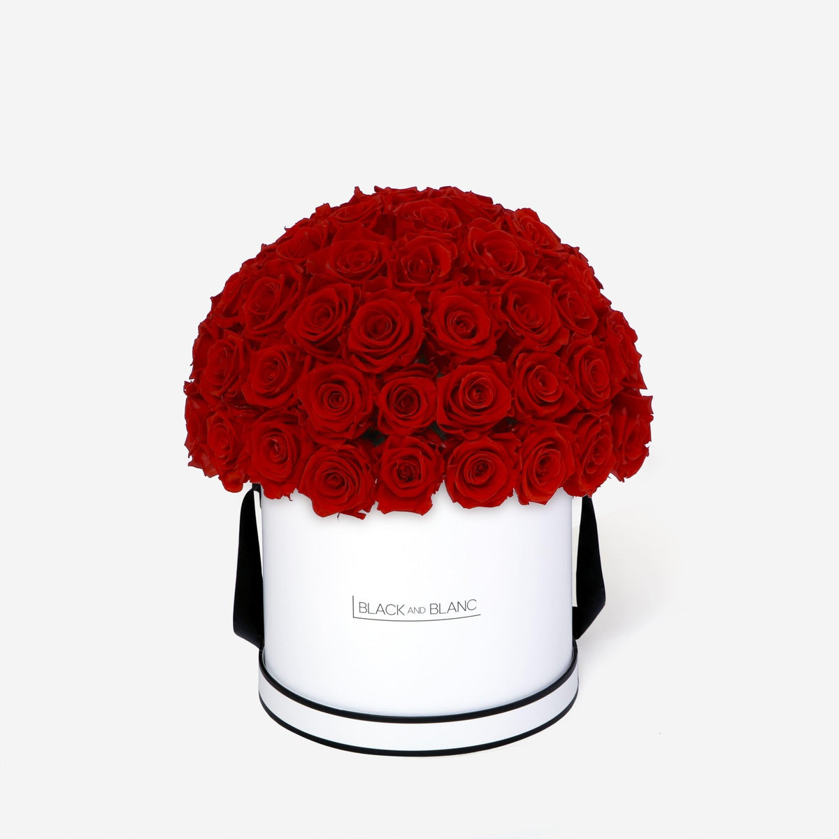 Dôme Classic - Infinity Roses - BLACK AND BLANC