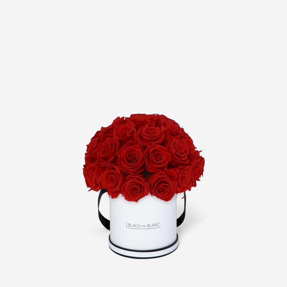 Dôme Classic - Infinity Roses - BLACK AND BLANC