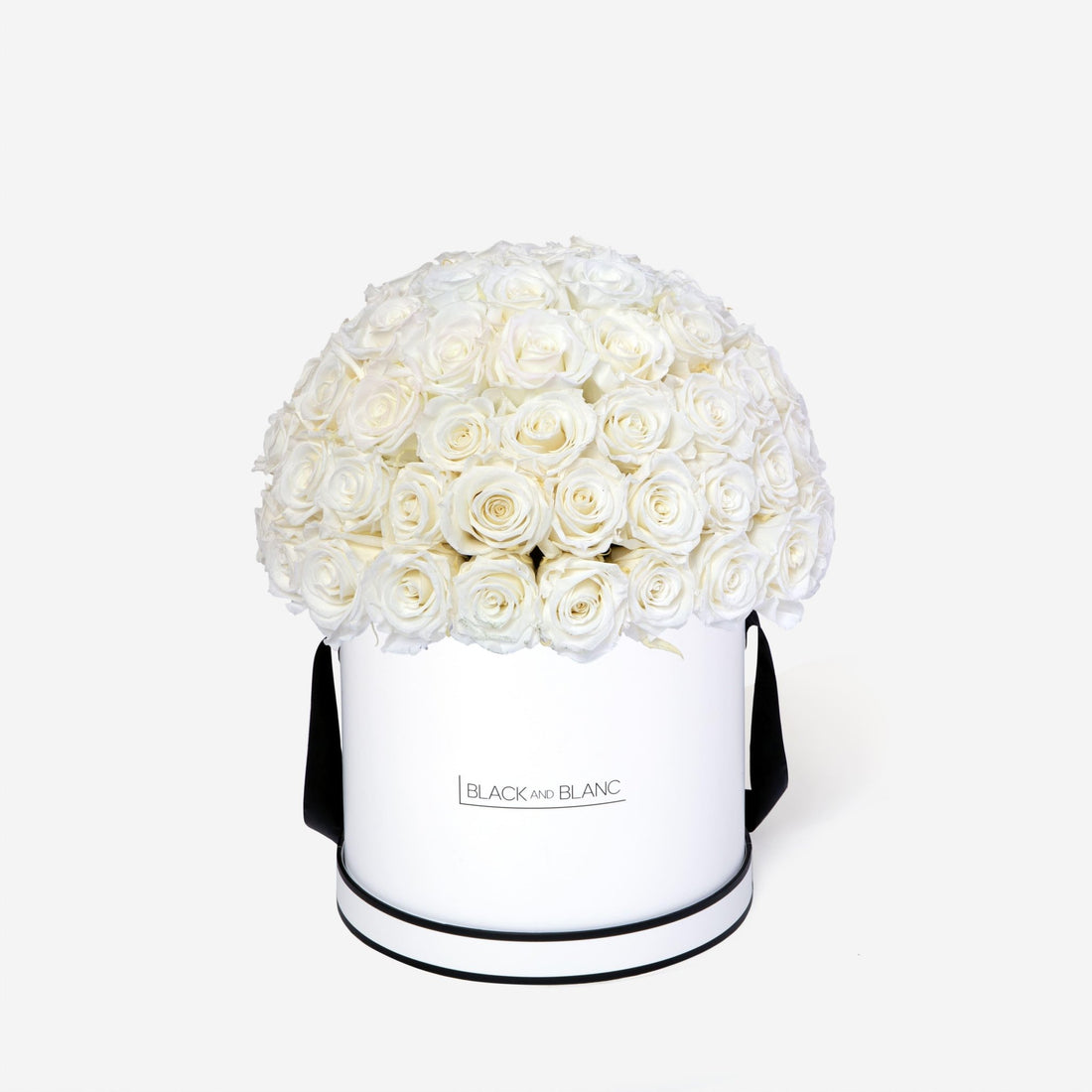 Dôme Classic - Infinity Roses - BLACK AND BLANC