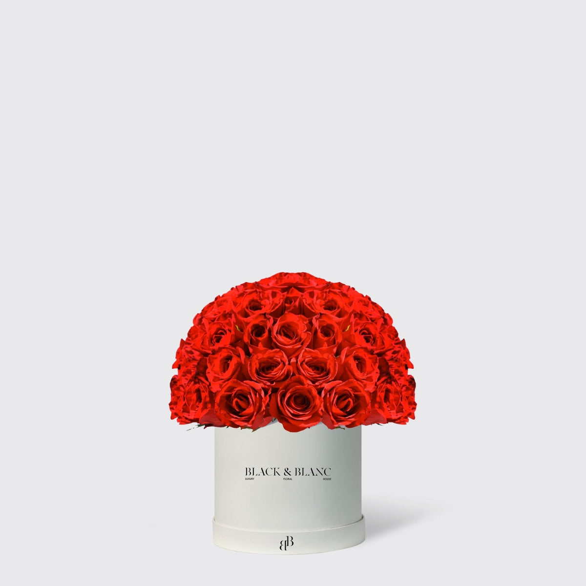 Dôme in Box - Infinity Roses - BLACK AND BLANC