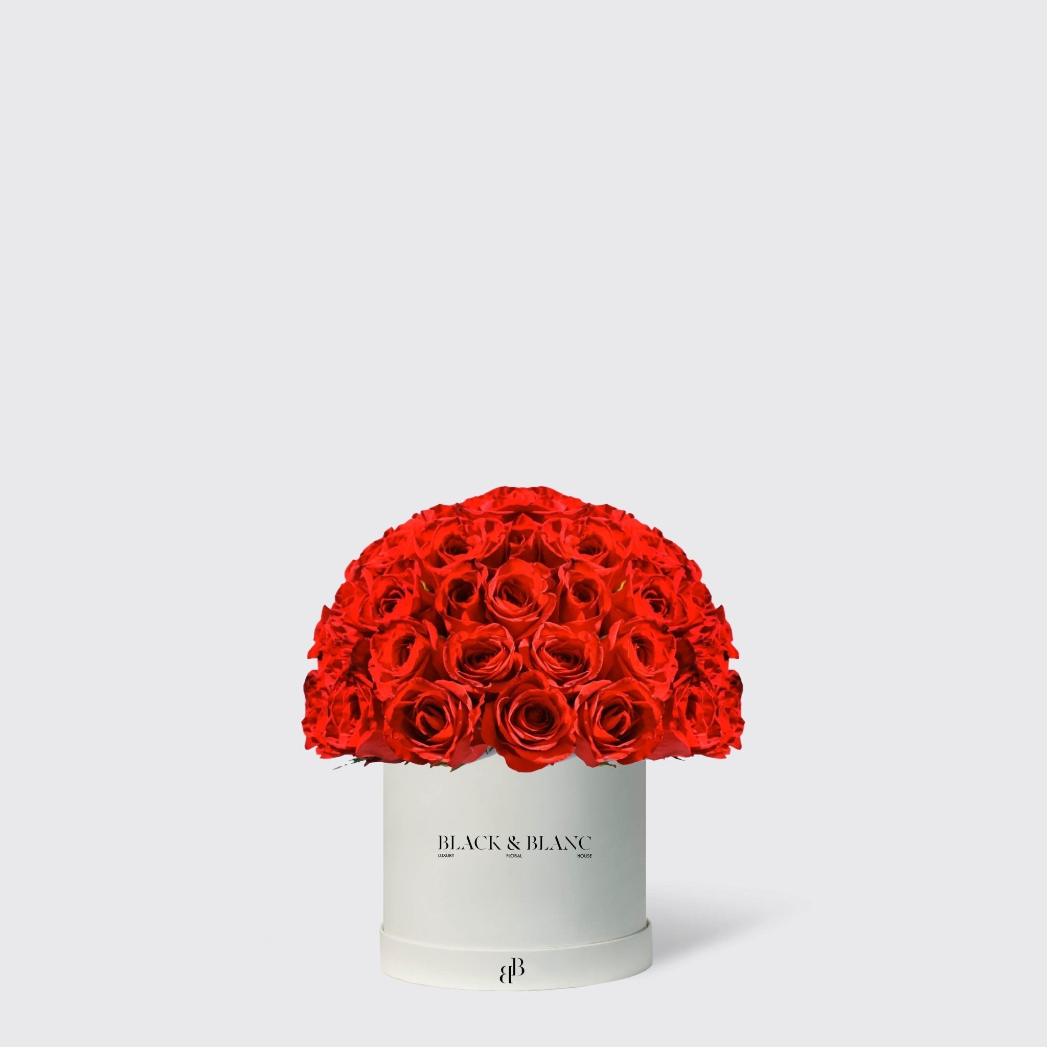 Dôme in Box - Infinity Roses