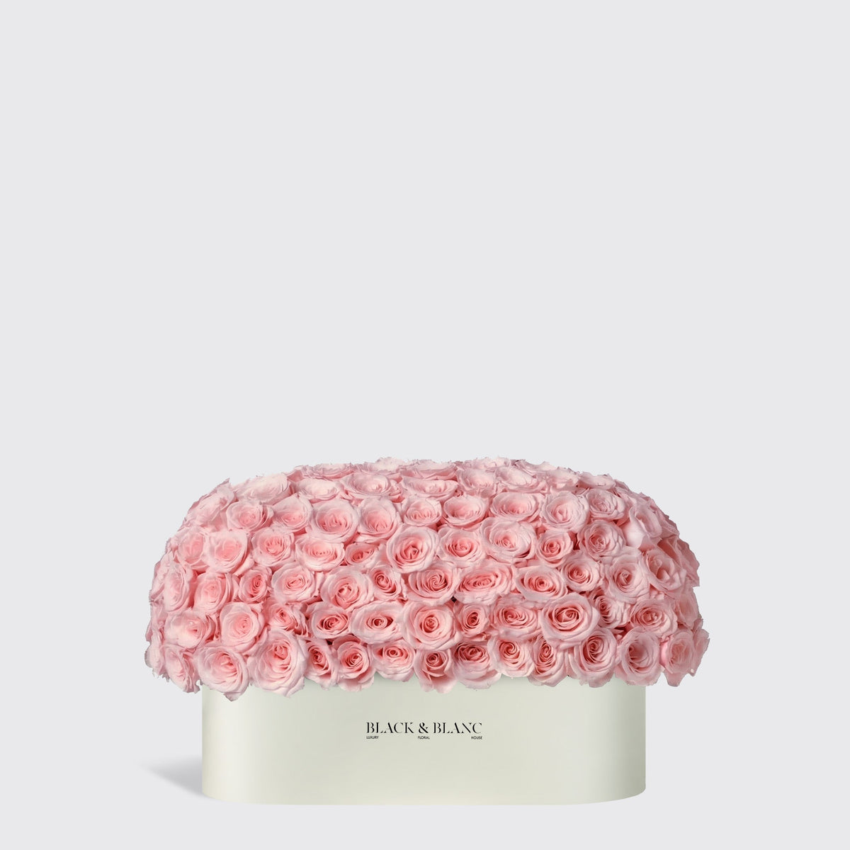 قبة النعيم نصف متر