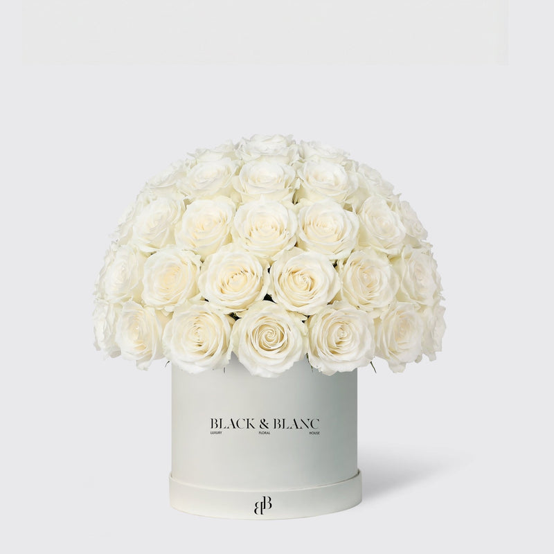 Dome Roses in Box - BLACK AND BLANC