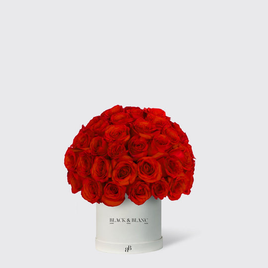 Dome Roses in Box - BLACK AND BLANC