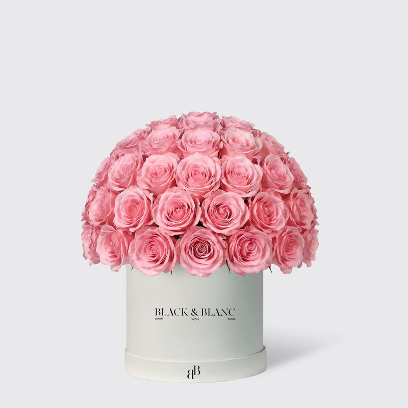 Dome Roses in Box - BLACK AND BLANC
