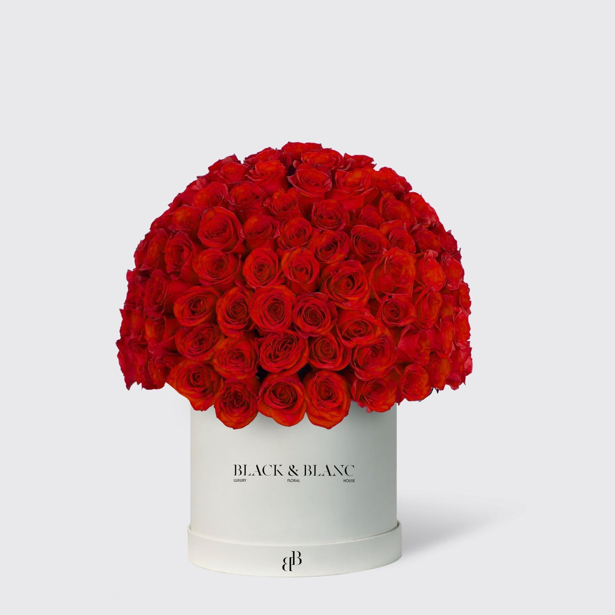 Dome Roses in Box - BLACK AND BLANC