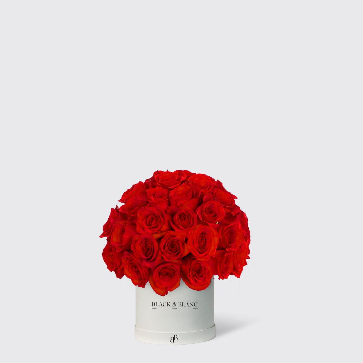 Dome Roses in Box - BLACK AND BLANC