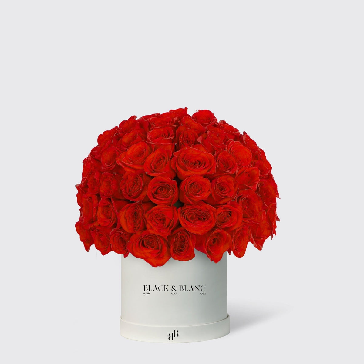Dome Roses in Box - BLACK AND BLANC