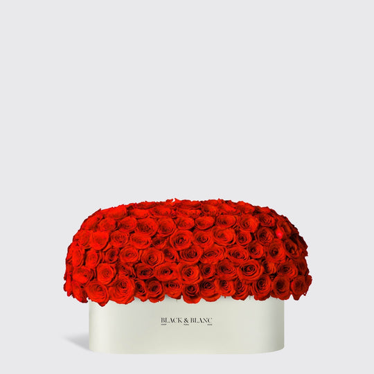 Dome Roses in Half Meter Box - BLACK AND BLANC