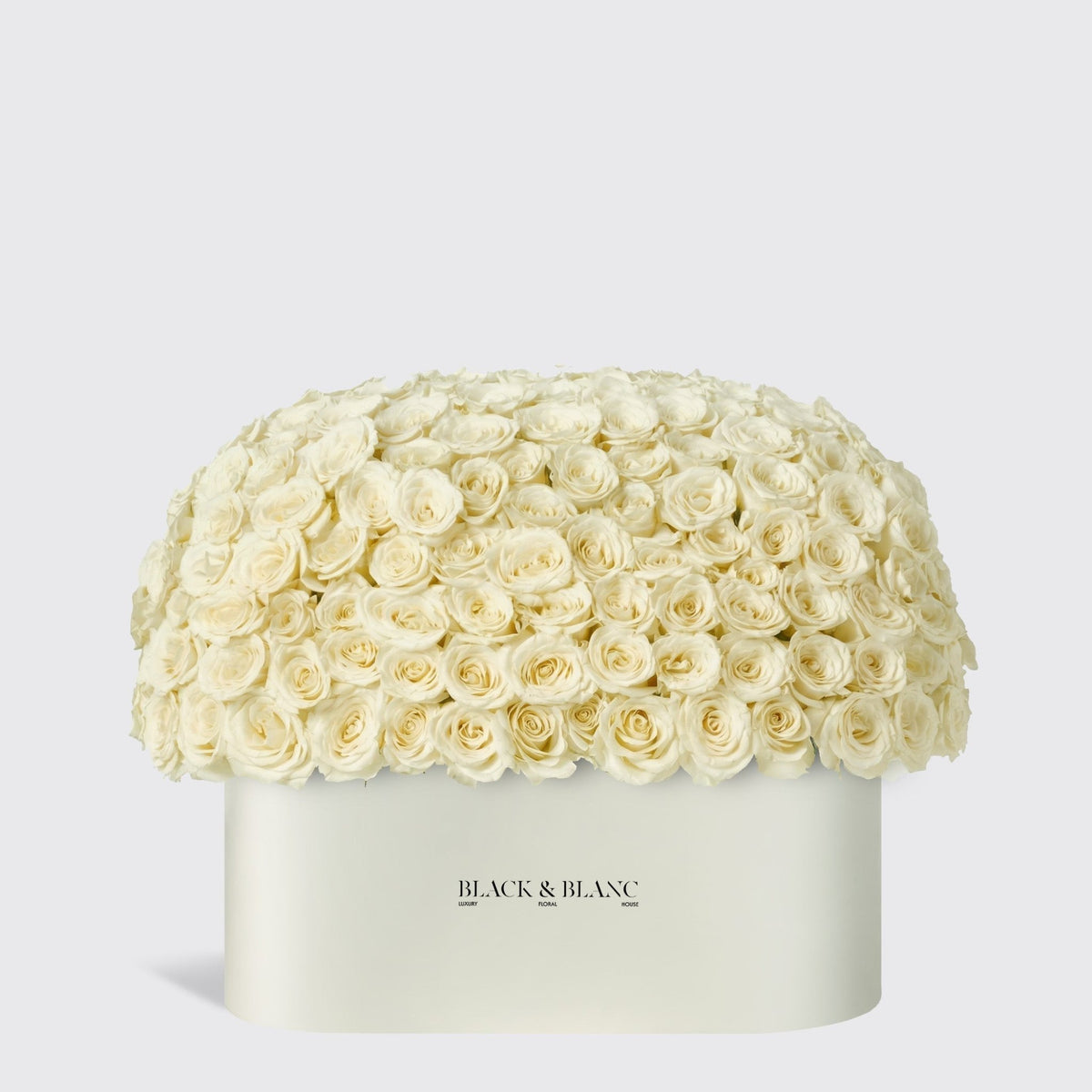 Dome Roses in Zenith Box - BLACK AND BLANC