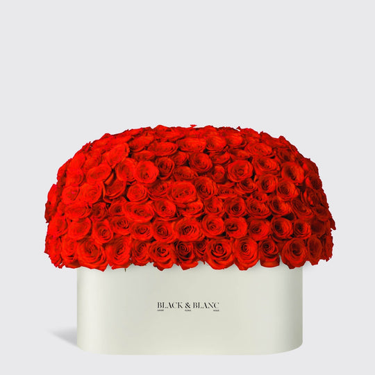 Dome Roses in Zenith Box - BLACK AND BLANC