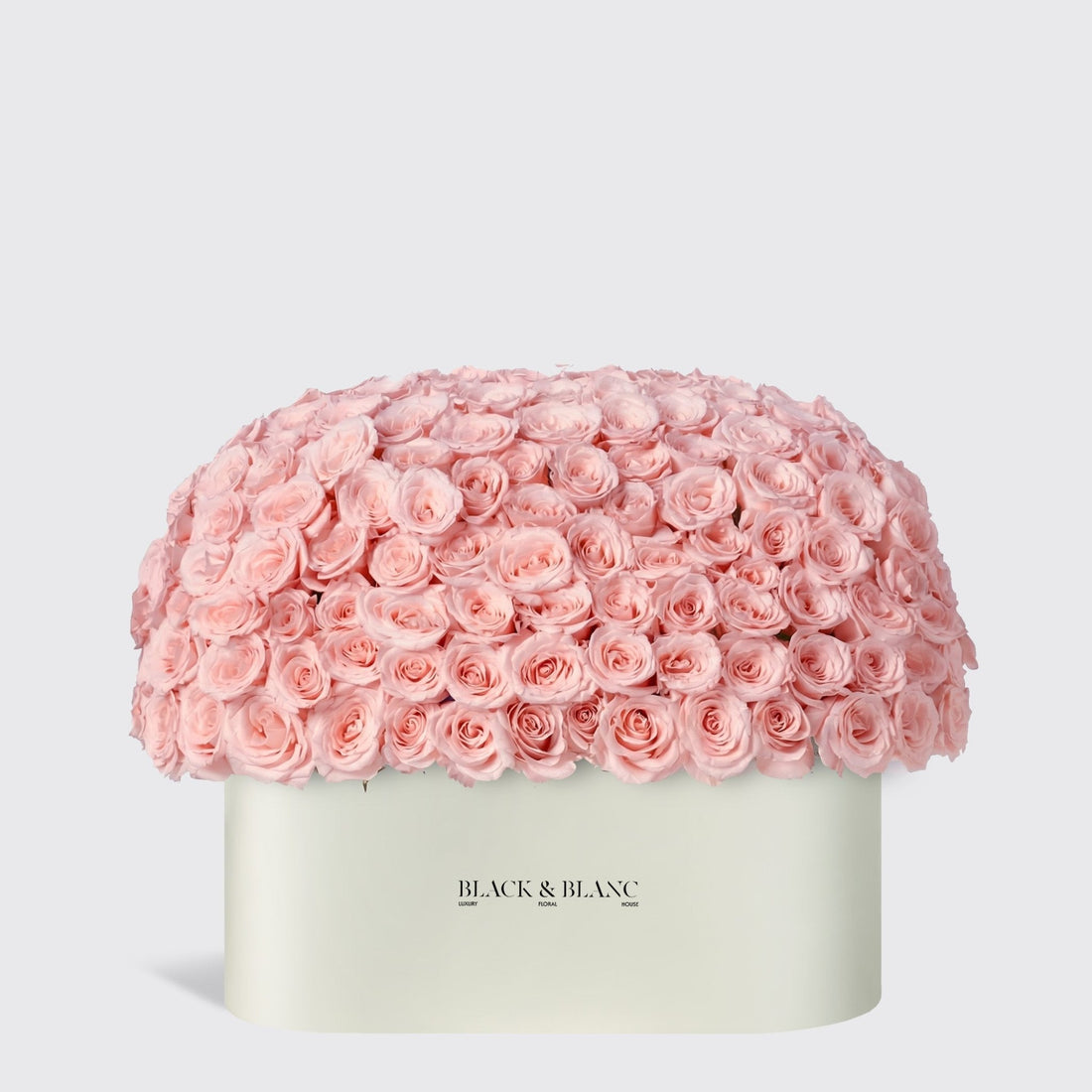 Dome Roses in Zenith Box - BLACK AND BLANC