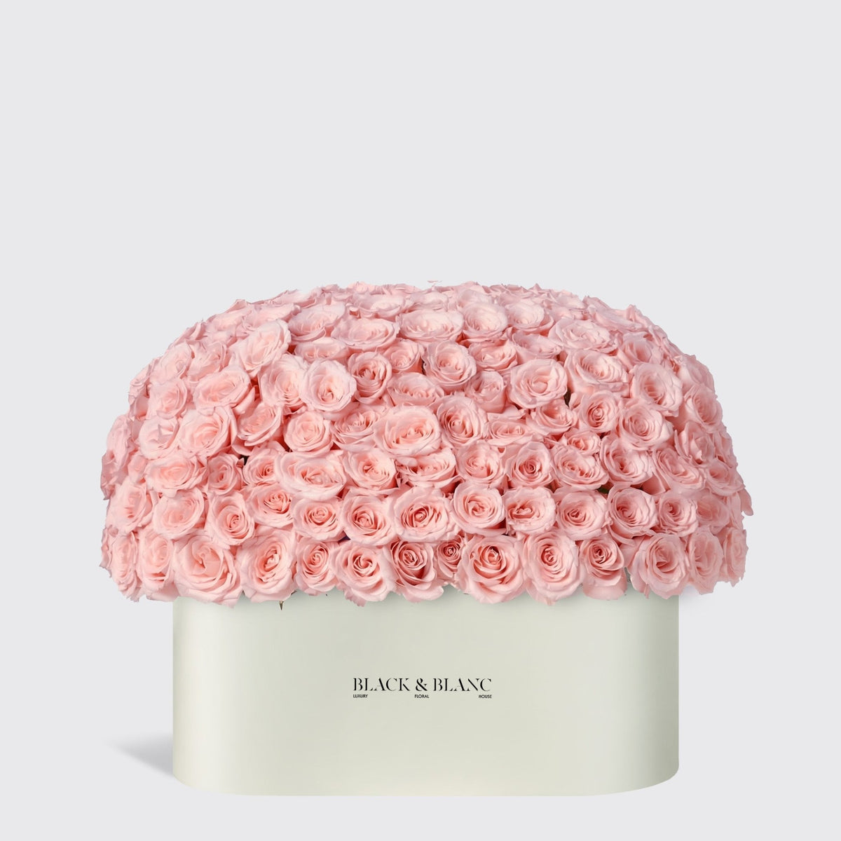 Dome Roses in Zenith Box - BLACK AND BLANC