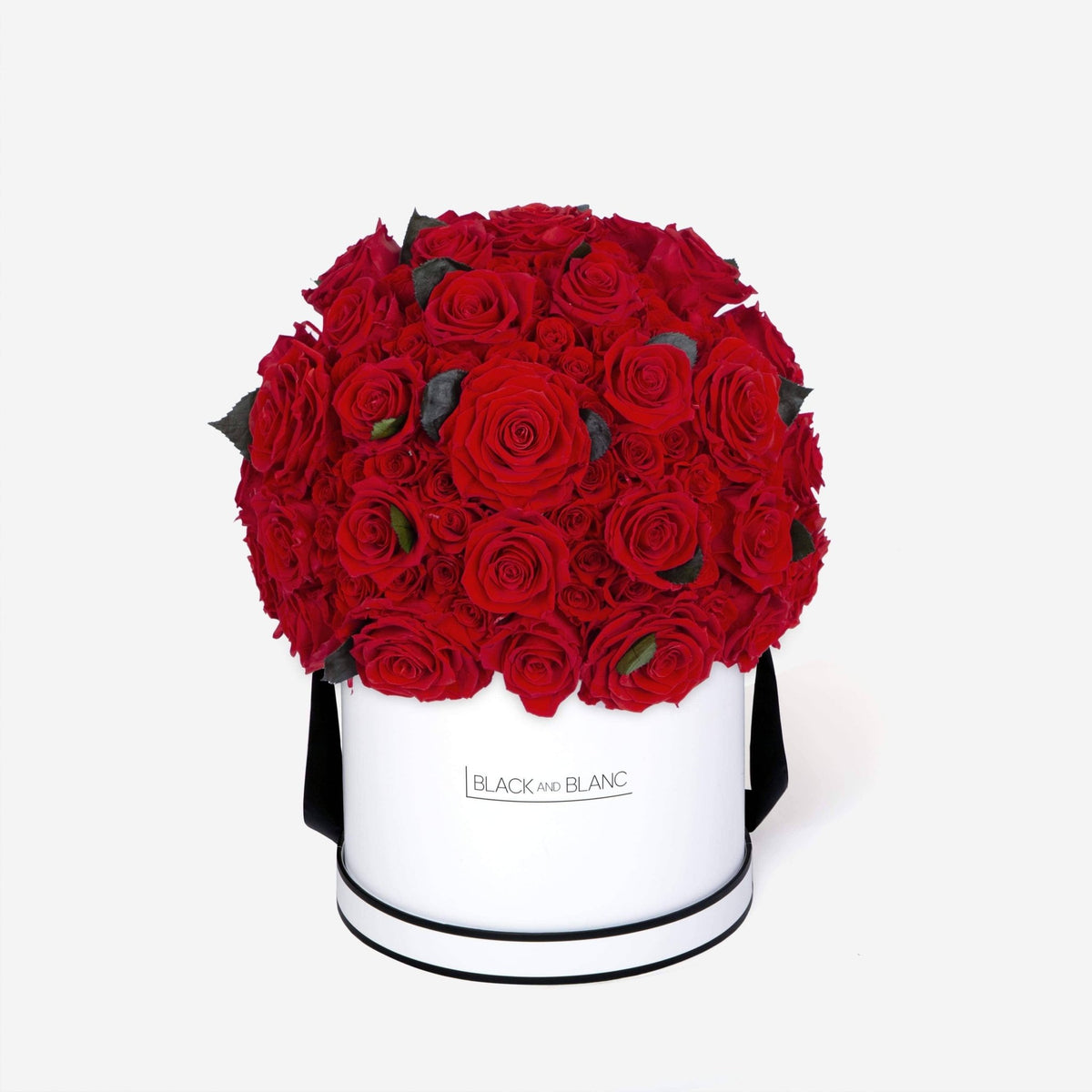 Dôme Supérieur - Infinity Roses - BLACK AND BLANC