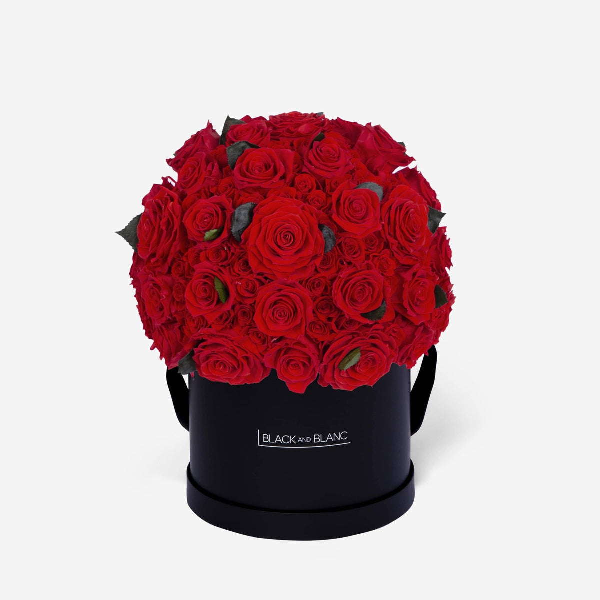 Dôme Supérieur - Infinity Roses - BLACK AND BLANC