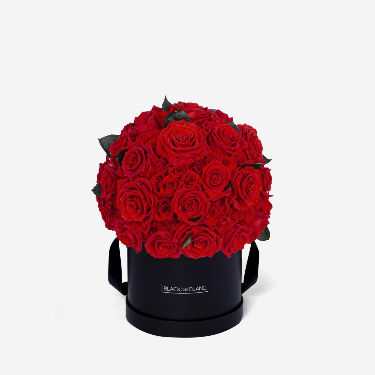 Dôme Supérieur - Infinity Roses - BLACK AND BLANC