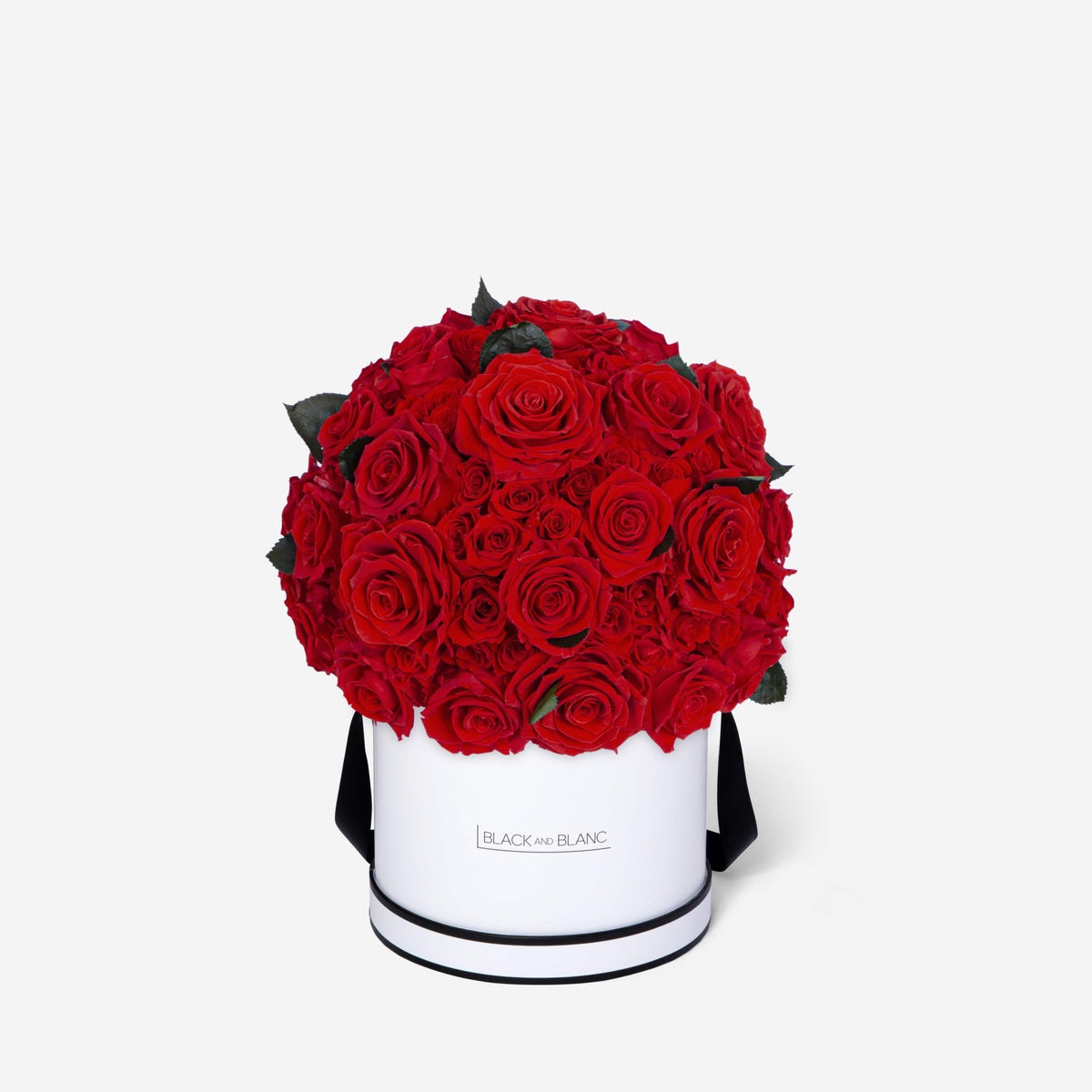 Dôme Supérieur - Infinity Roses - BLACK AND BLANC