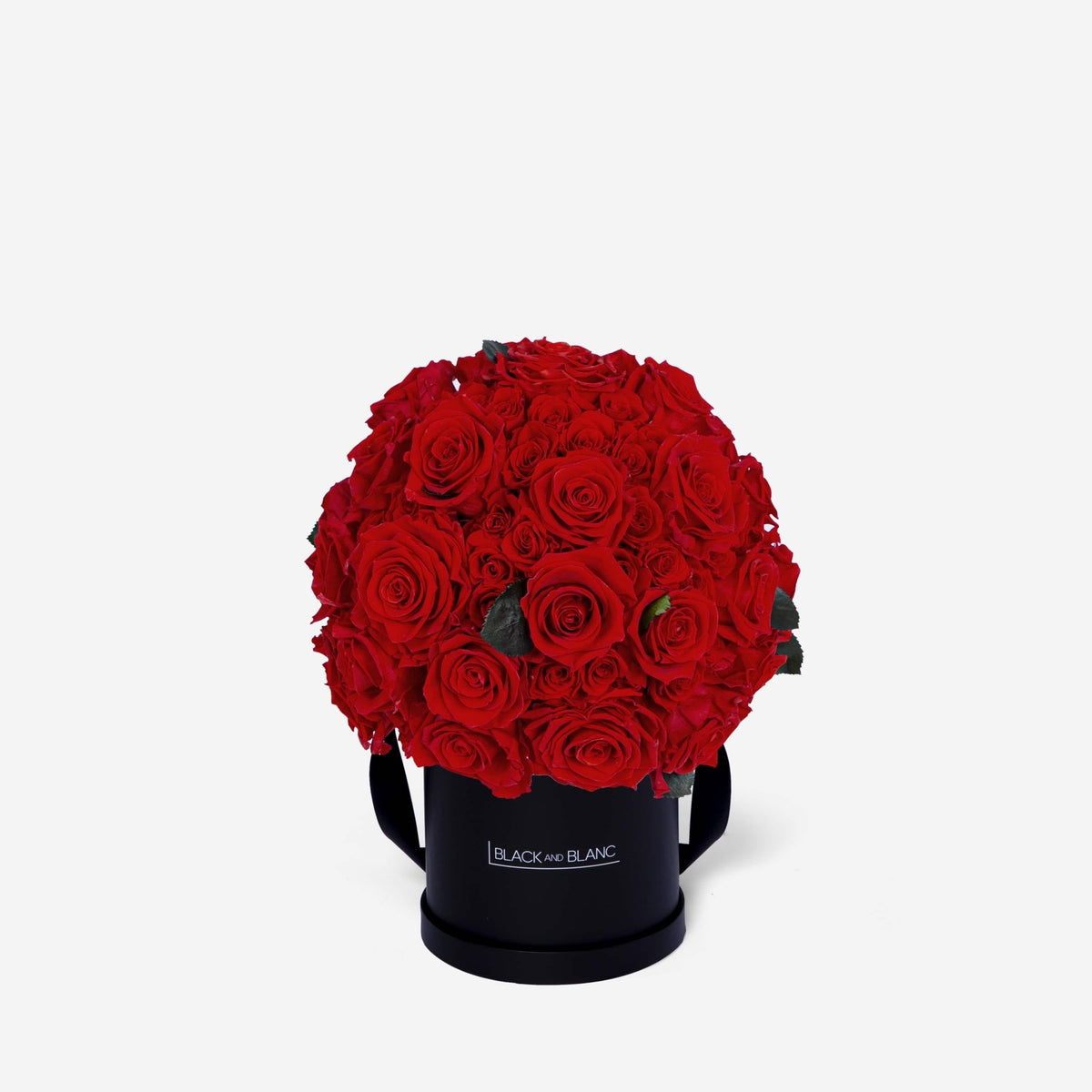 Dôme Supérieur - Infinity Roses - BLACK AND BLANC