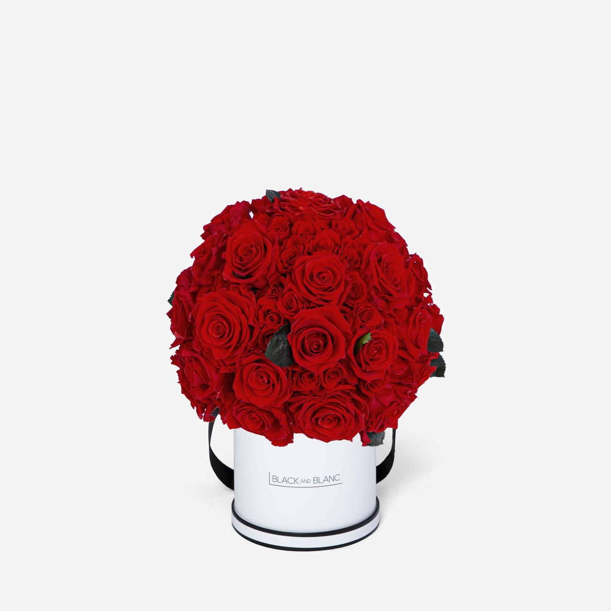 Dôme Supérieur - Infinity Roses - BLACK AND BLANC