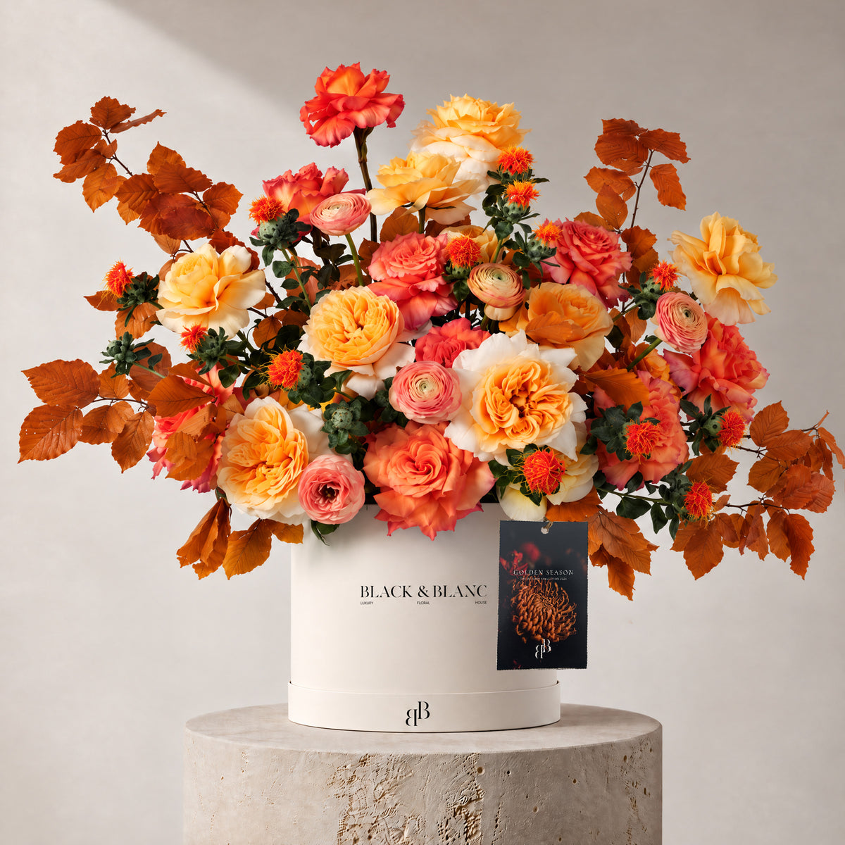 Autumn - Amber in Box - BLACK AND BLANC