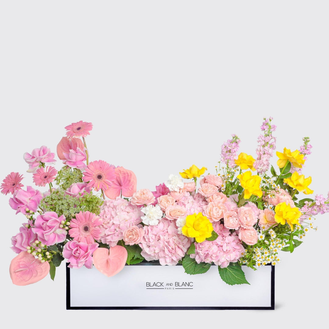 Éclat de Printemps in 1 Meter Box - BLACK AND BLANC