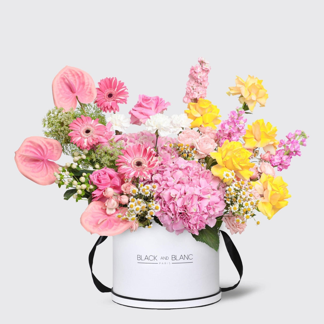 Éclat de Printemps in Box - BLACK AND BLANC