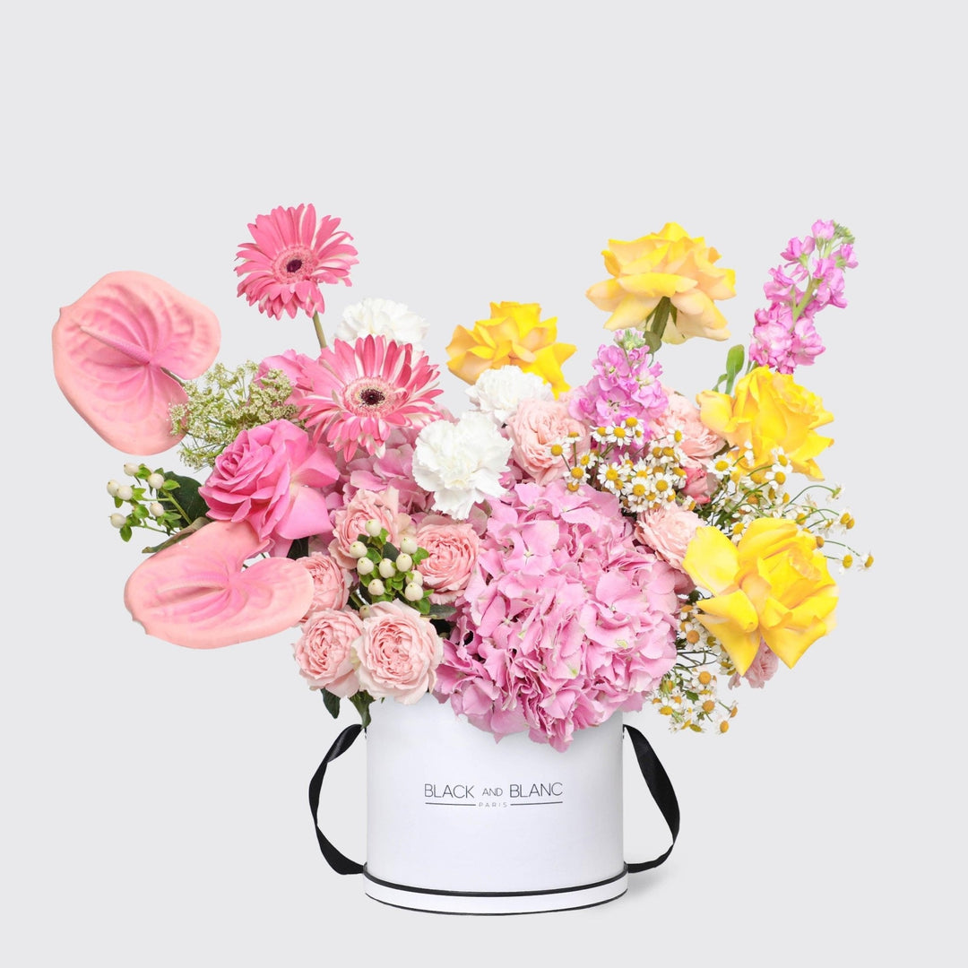 Éclat de Printemps in Box - BLACK AND BLANC