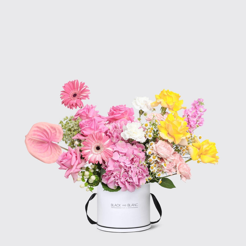 Éclat de Printemps in Box - BLACK AND BLANC