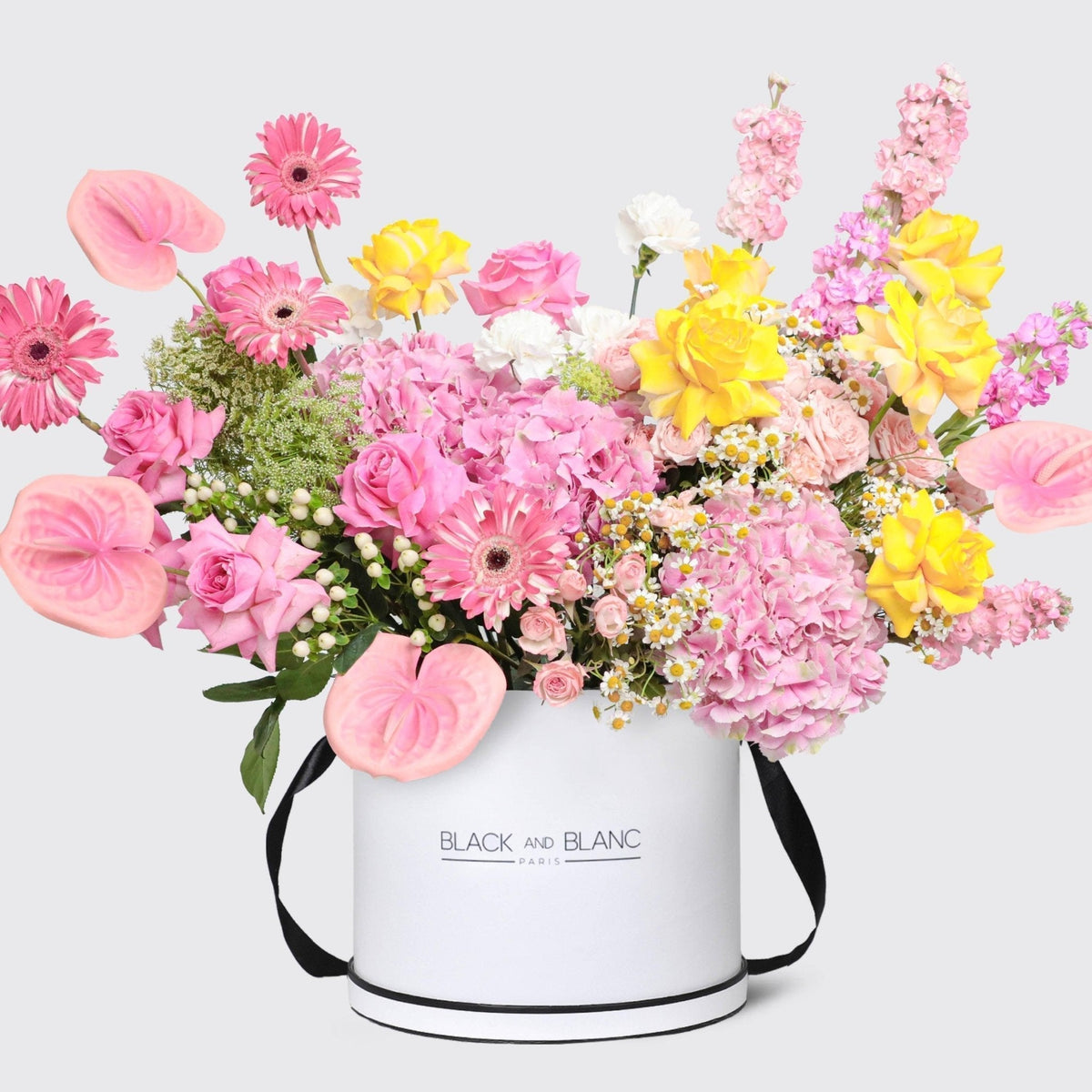 Éclat de Printemps in Box - BLACK AND BLANC