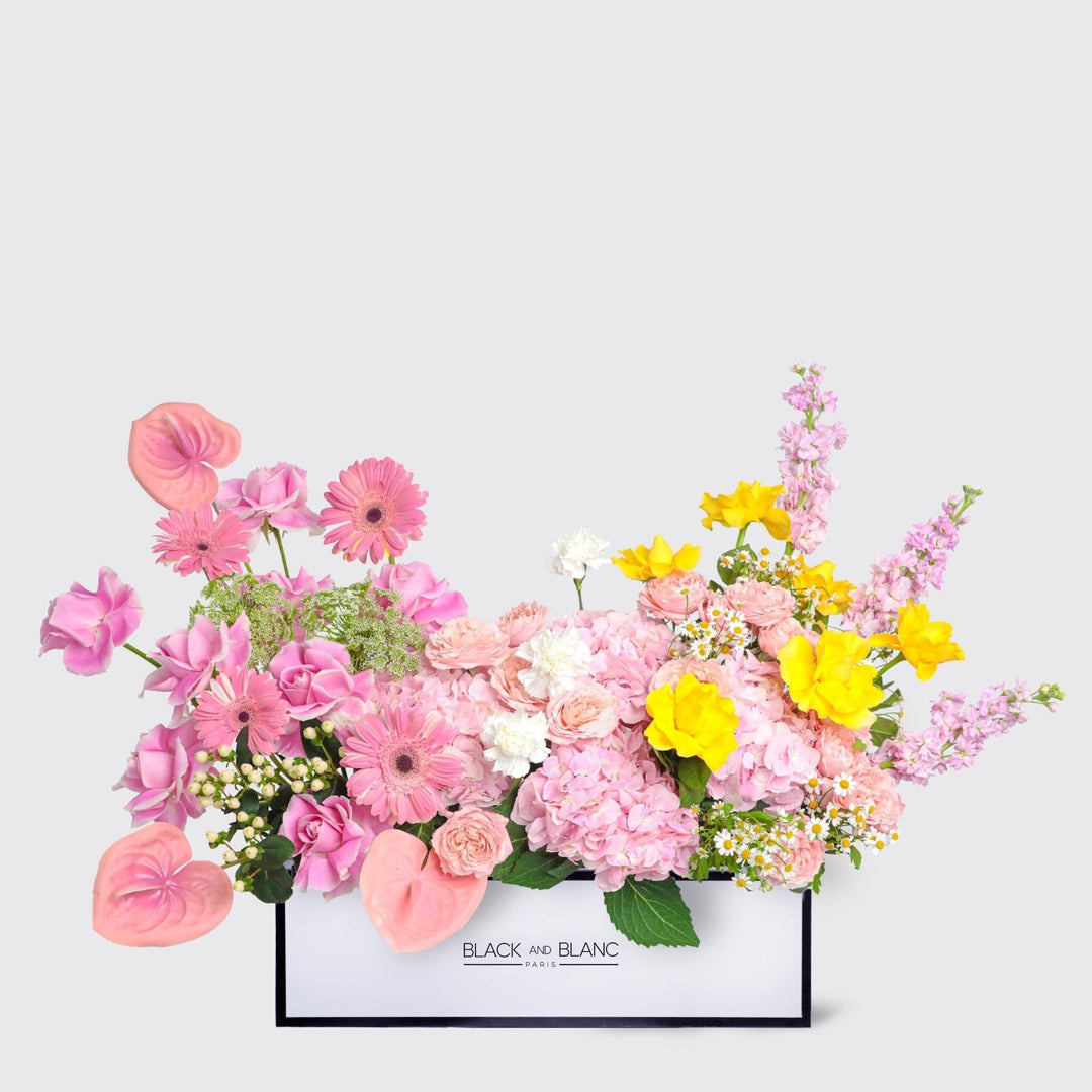 Éclat de Printemps in Half Meter Box - BLACK AND BLANC