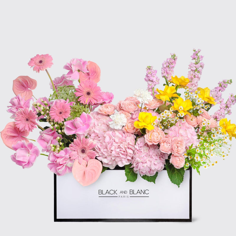 Éclat de Printemps in Zenith Box - BLACK AND BLANC