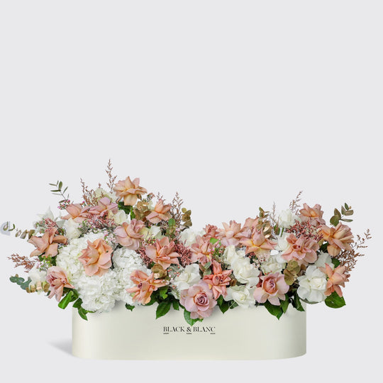 Elegance Serein in 1 Meter Box - BLACK AND BLANC