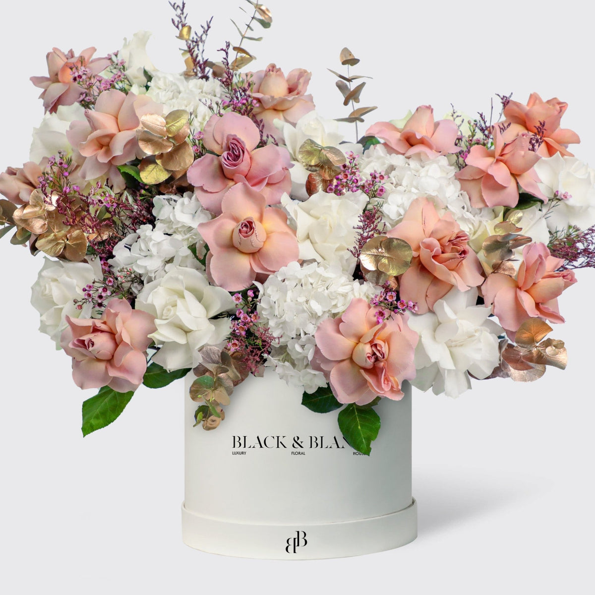 Elegance Serein in Box - BLACK AND BLANC