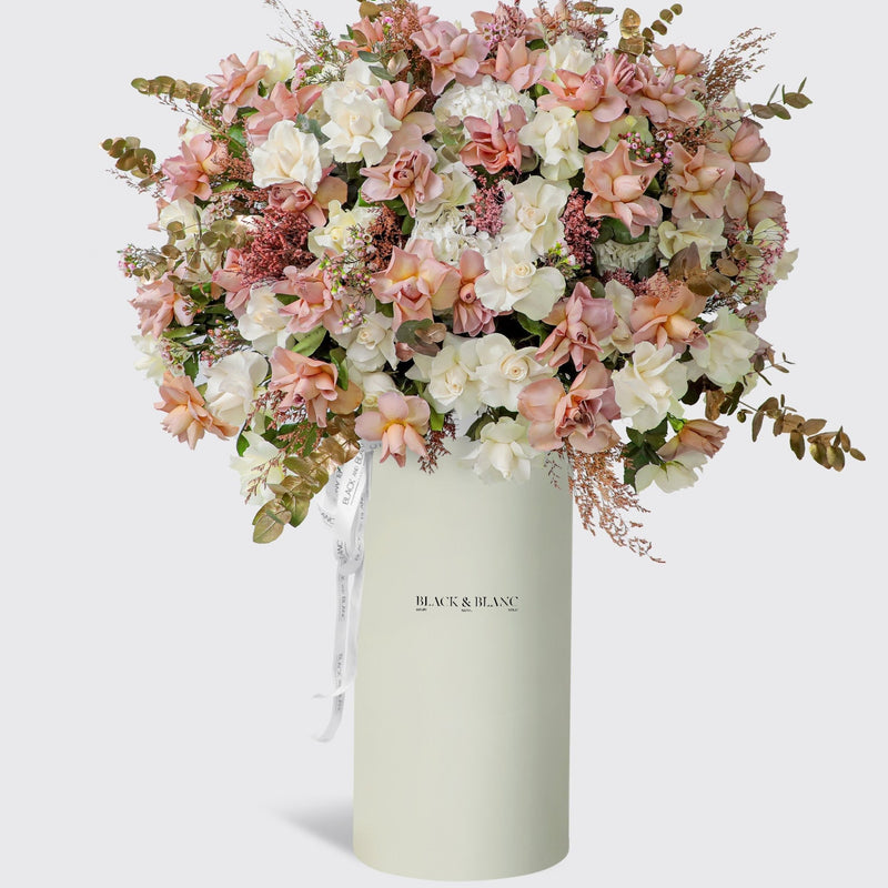 Elegance Serein in Pinnacle Box - BLACK AND BLANC
