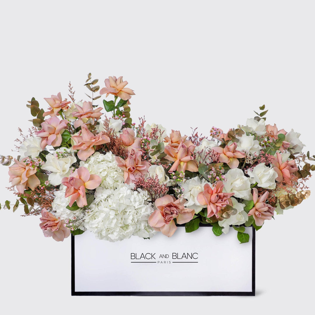 Elegance Serein in Zenith Box - BLACK AND BLANC