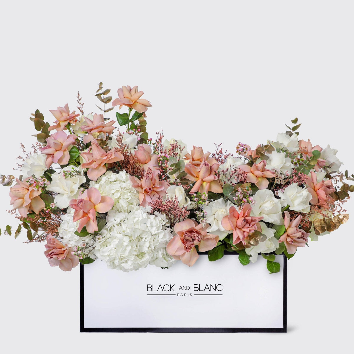 Elegance Serein in Zenith Box - BLACK AND BLANC