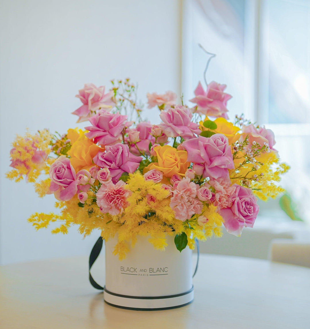 Élégante Harmony in Box - BLACK AND BLANC