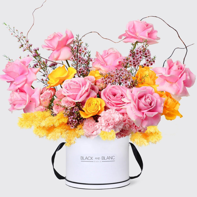 Élégante Harmony in Box - BLACK AND BLANC