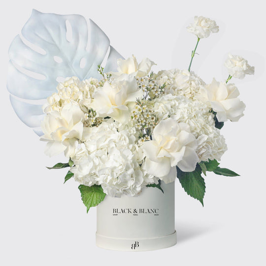 Eternal Blossom in Box - BLACK AND BLANC