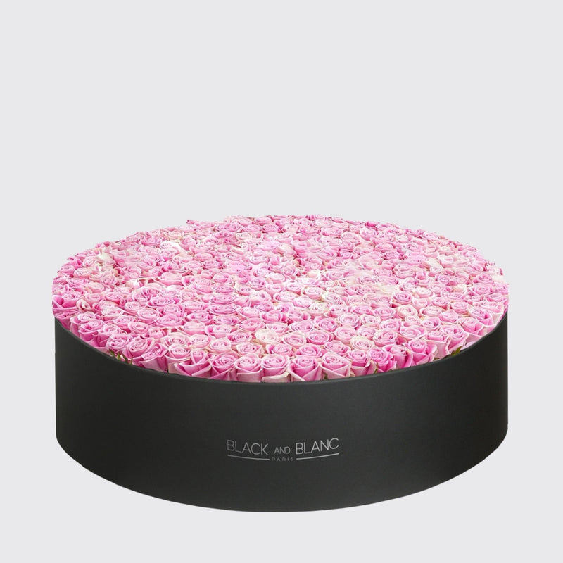 Extravaganza Classic Pink Roses in Box - BLACK AND BLANC