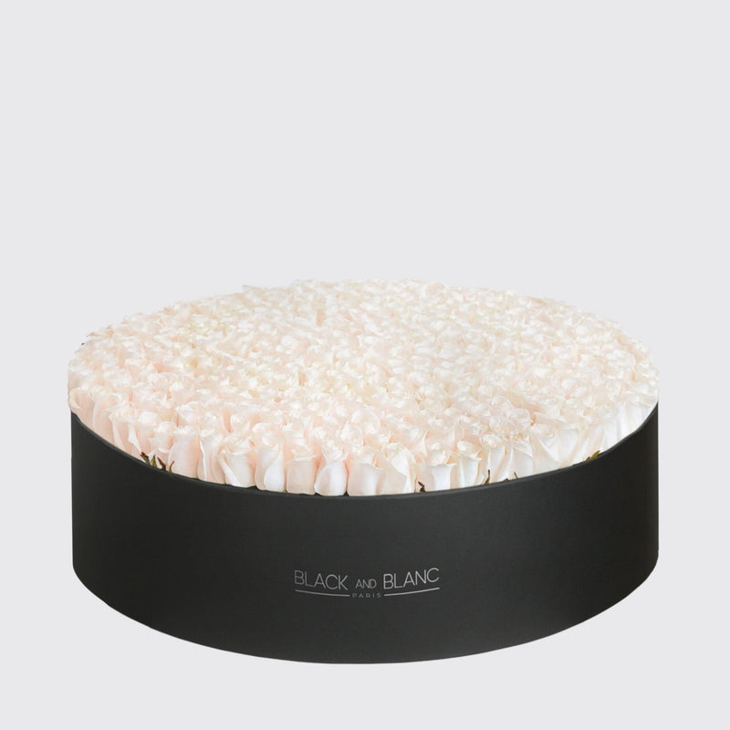 Extravaganza White Roses in Box - BLACK AND BLANC