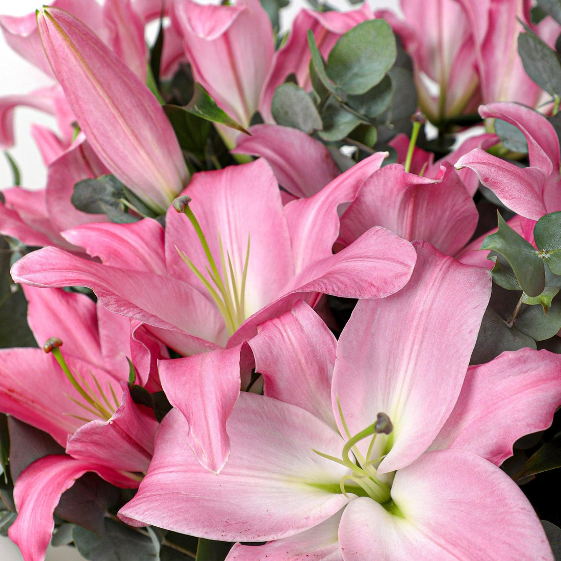 Fresh Lily Pink Bouquet - BLACK AND BLANC