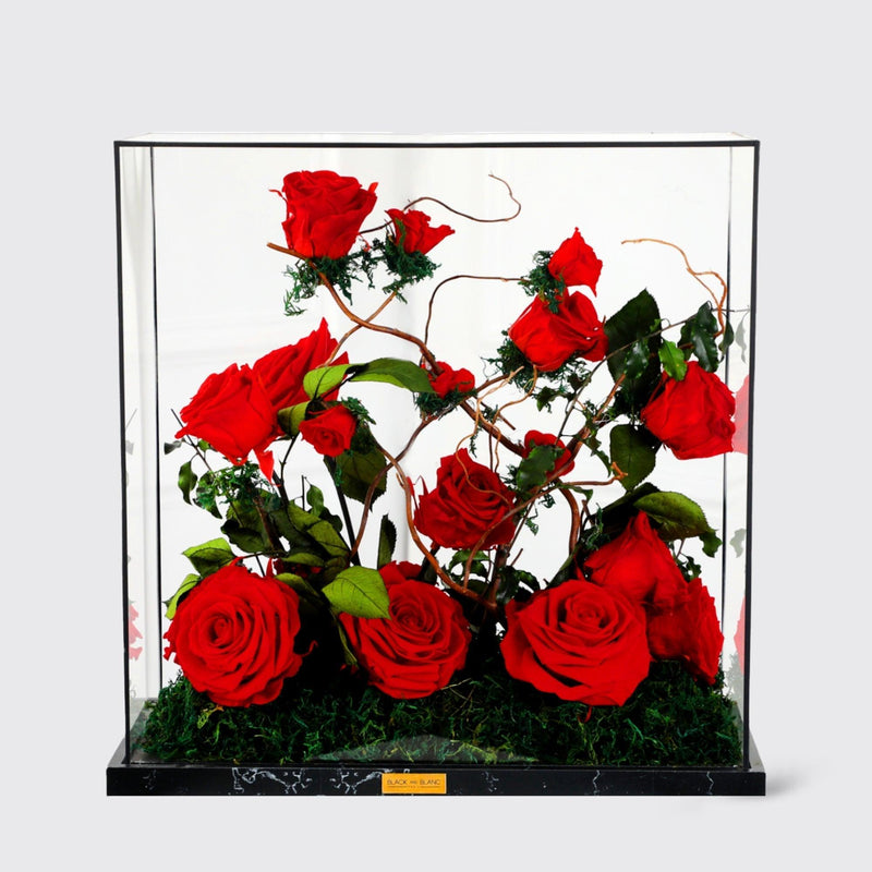 Garden Bella Le Luxi - Infinity Roses - BLACK AND BLANC