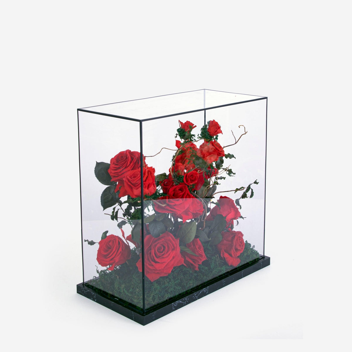Garden Bella Le Luxi - Infinity Roses - BLACK AND BLANC