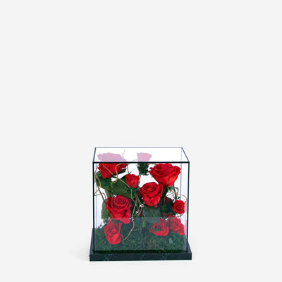 Garden Bella Le Maxi - Infinity Roses