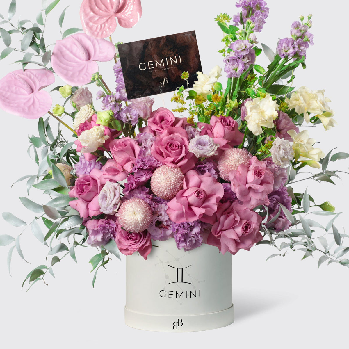Gemini - The Charm in Box - BLACK AND BLANC