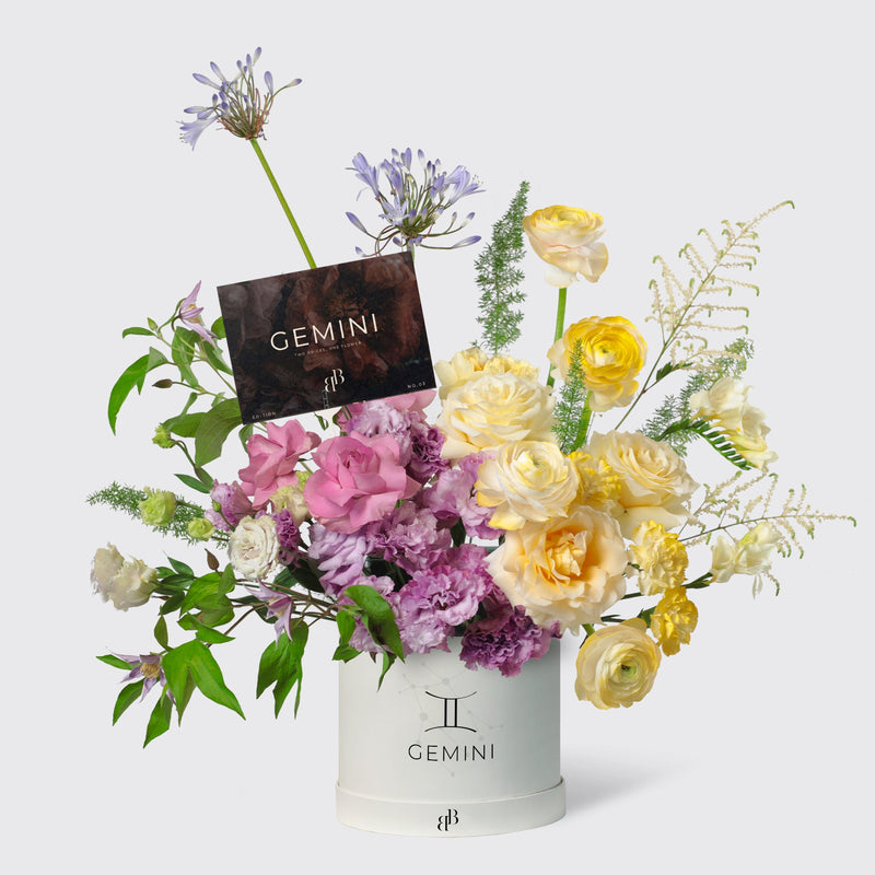 Gemini - The Conversation in Box - BLACK AND BLANC
